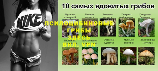 СК Аркадак