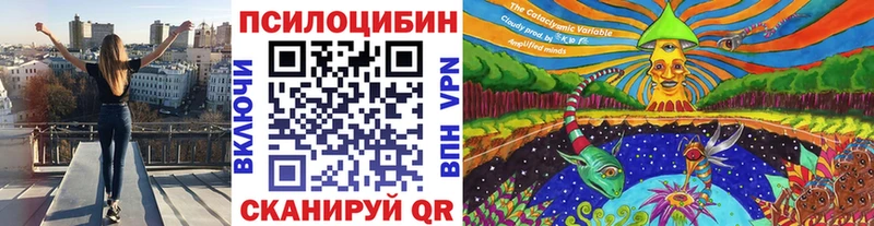 купить   Мосальск  Галлюциногенные грибы Psilocybe 